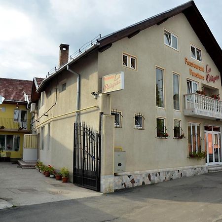 Pensiunea La Palaguta Baia Mare Ngoại thất bức ảnh