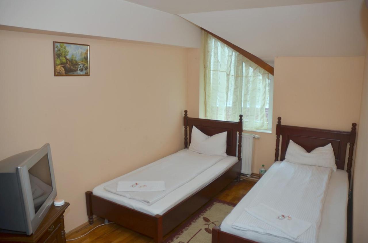 Pensiunea La Palaguta Baia Mare Ngoại thất bức ảnh