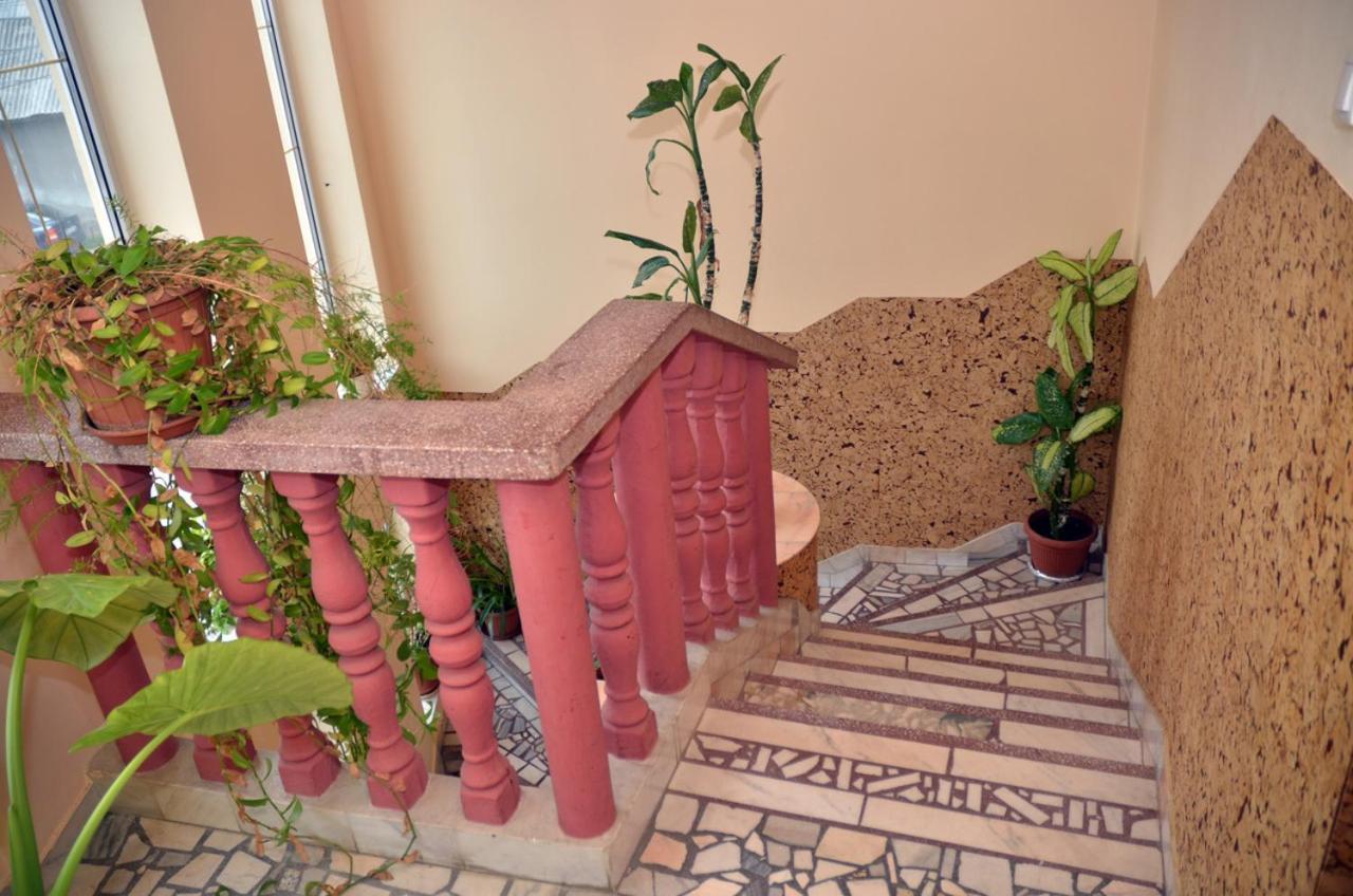 Pensiunea La Palaguta Baia Mare Ngoại thất bức ảnh